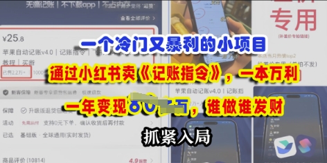 一个冷门需求，通过小红书卖《记账指令》，一本万利，谁做谁发，抓紧入局-墨月宝藏铺