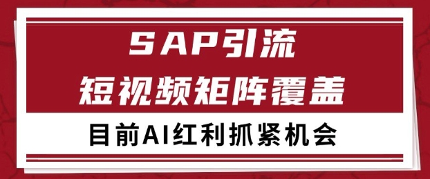 小红书某音sap赛道引流获客 自热矩阵日引200+【揭秘】-墨月宝藏铺