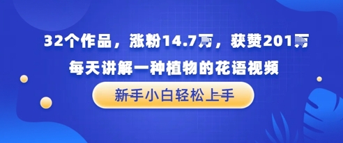 32个作品，涨粉14.7W，获赞201W，每天讲解一种植物的花语视频，无需任何技巧，新手小白轻松上手-墨月宝藏铺