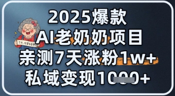 2025爆款 AI 老奶奶项目：亲测 7 天涨粉 1W+，私域变现 1k+-墨月宝藏铺