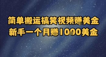 简单搬运搞笑视频挣美金，新手一个月入1k美金-墨月宝藏铺