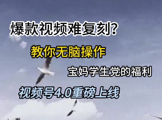 视频号4.0重磅上线，爆款视频难复刻？教你无脑操作宝妈学生党的福利【揭秘】-墨月宝藏铺