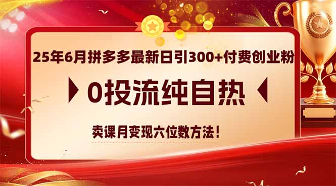 （14989期）25年6月拼多多最新日引300+付费创业粉，0投流纯自热 卖课月变现六位数方法-墨月宝藏铺