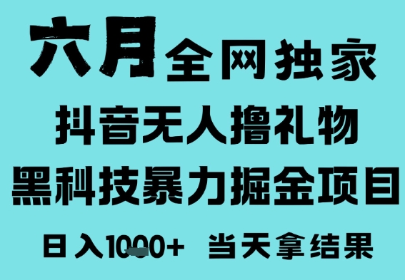 25年6月高爆抖音无人直播最新撸音浪掘金项目，门槛低小白可做，无脑日入1k，可矩阵放大【揭秘】-墨月宝藏铺