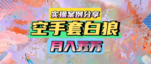 空手套白狼，月入过1W，实操案例分享-墨月宝藏铺