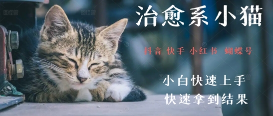拆解，疯狂火爆！抖音，小红书，视频号小猫治愈的视频，轻松制作+快速拿到结果-墨月宝藏铺