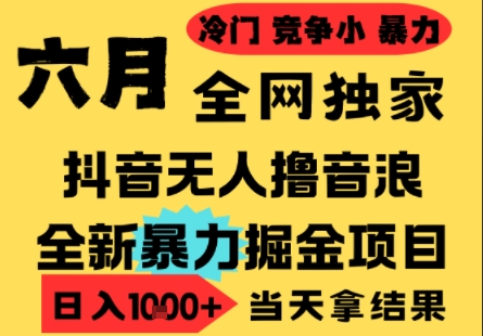 25年6月高爆抖音无人直播最新撸音浪掘金项目，小白可做，无脑日入1k+，门槛低可批量矩阵【揭秘】-墨月宝藏铺