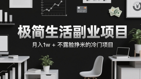 极简生活副业项目，月入1w+不露脸挣米的冷门项目-墨月宝藏铺